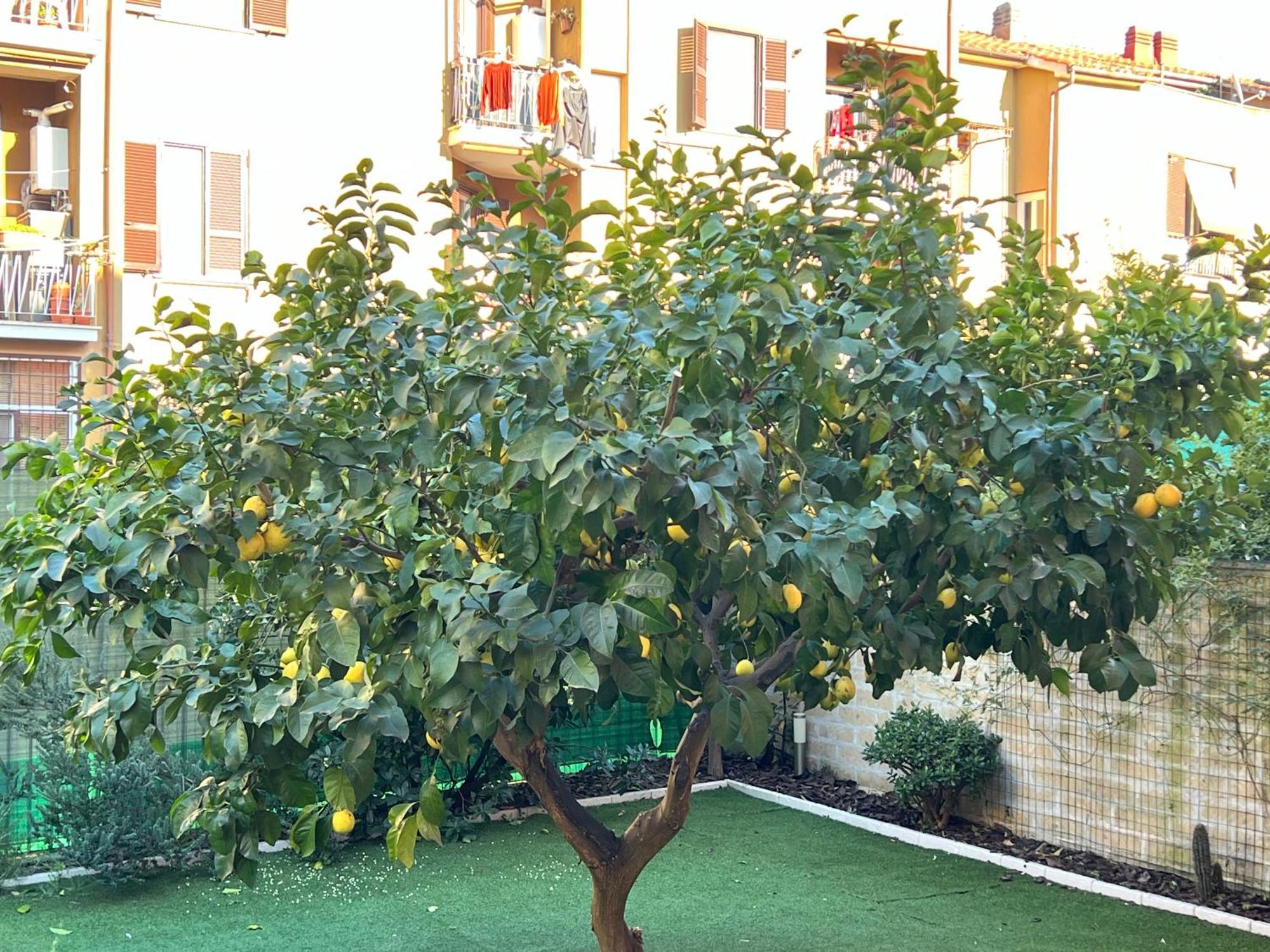 Holiday home Casa Paestum. Your Wonderful Garden In Rome